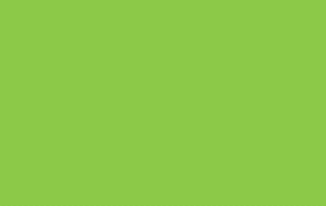 Iguana Green RV-273