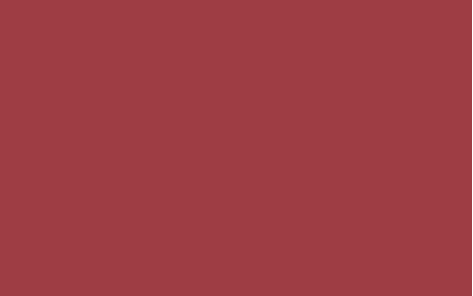 Interrail Brown RV-204