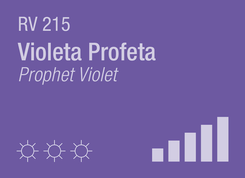 Prophet Violet RV-215