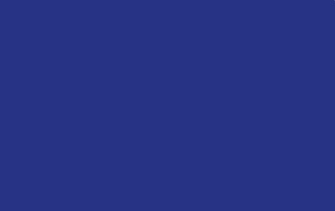 Tuareg Blue RV-319