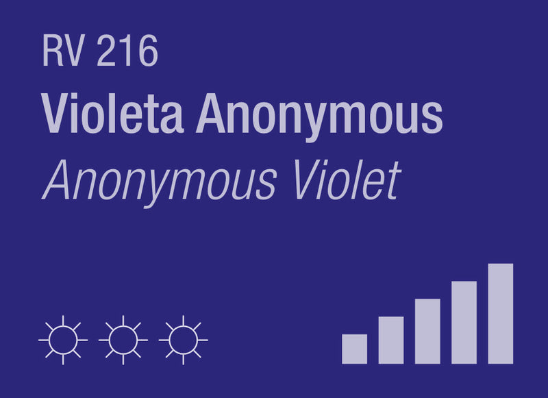 Anonymous Violet RV-216