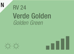 Golden Green RV-24
