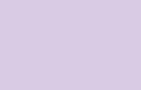 Republic Violet RV-310