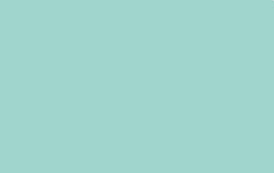 Luminous Green RV-6027