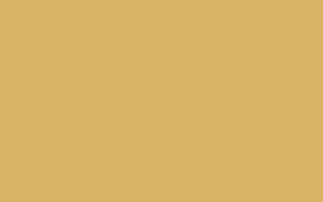 Inca Brown RV-136