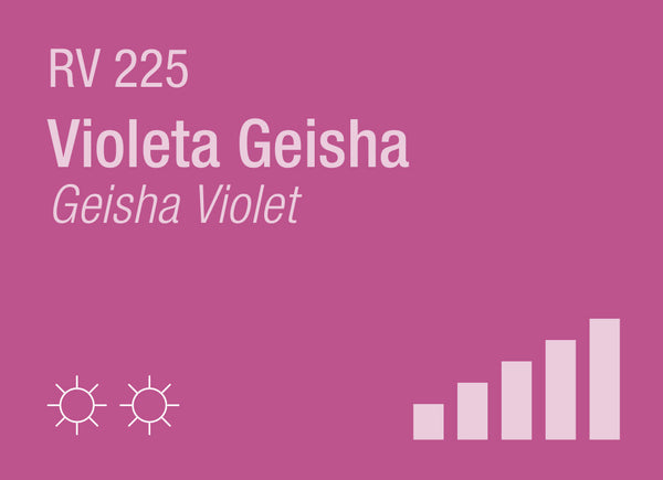 Geisha Violet RV-225