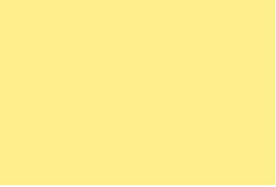 Party Yellow RV-20