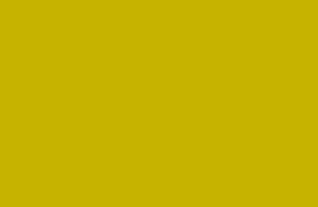 Yosemite Yellow RV-110