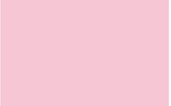 Tokyo Pink RV-164