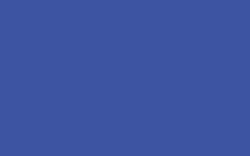 Ween Blue RV-318