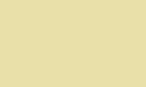 Safari Brown RV-135