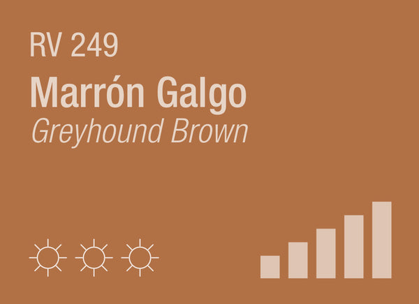 Greyhound Brown RV-249