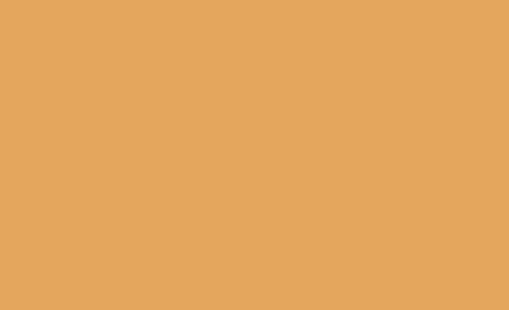 Peach RV-1017