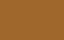 Chiapas Brown RV-97