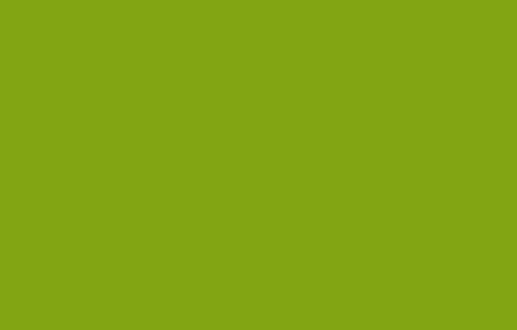 Guacamole Green RV-34