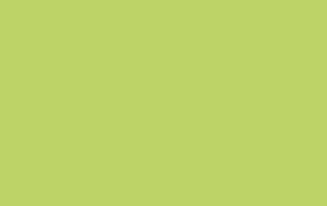 Pistachio Green RV-16