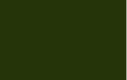 Borneo Green RV-132