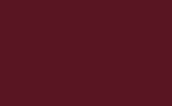 Warrior Brown RV-205
