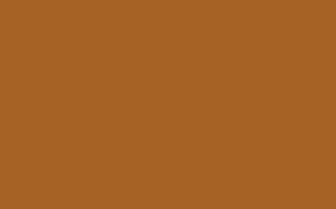 Mustard RV-8023