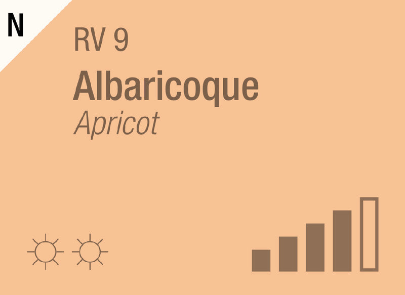 Apricot RV-9