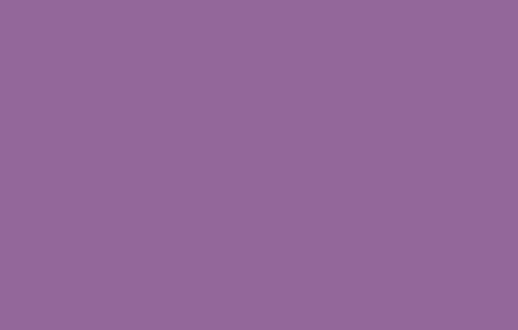 Raval Violet RV-275