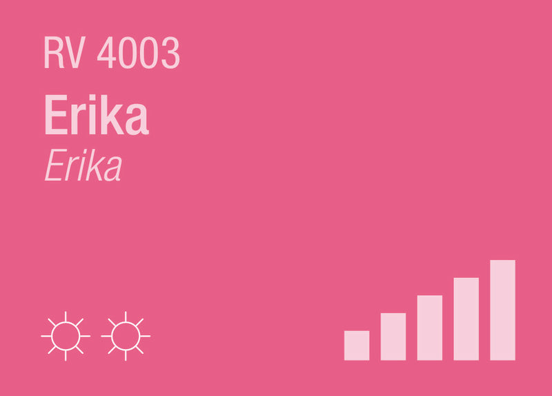 Erika RV-4003