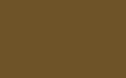 Sequoia Brown RV-139